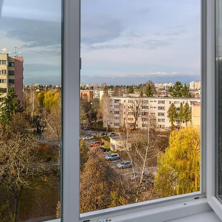 Luxury - Soarelui 10